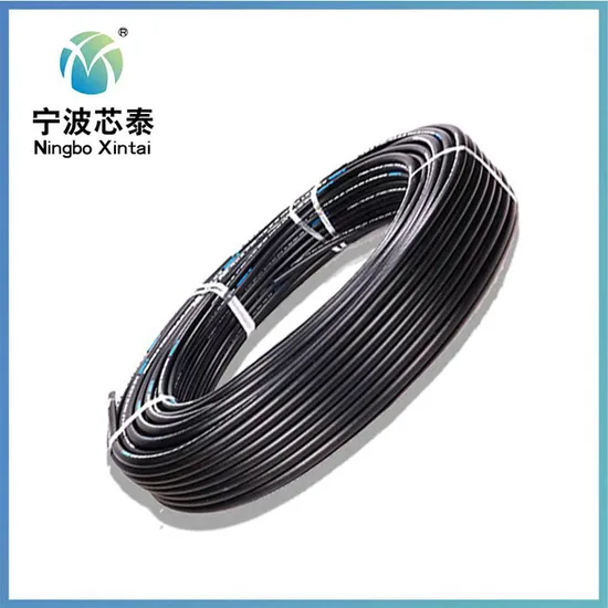 Hydraulic Steel Wire Braided Rubber Hose Carry Hose Assembly 