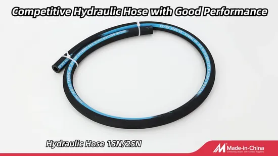 Factory Steel Wire Braided Smooth Wrapped DIN En853 2sn Hydraulic Hose 