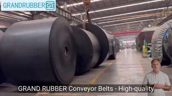 Ep 400/3 Heat Fire Abrasion Resistant Endless Rubber Conveyor Belt for Mine/Steel/Cement 