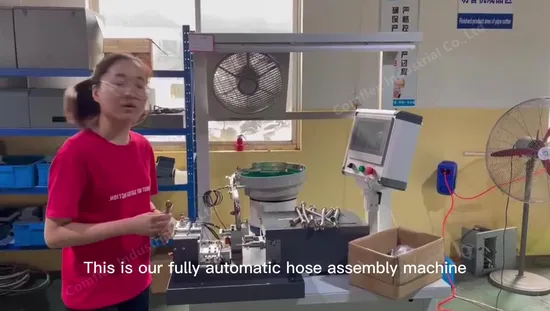 Automatic Double O Ring Assembly Machine for Gas Hose 