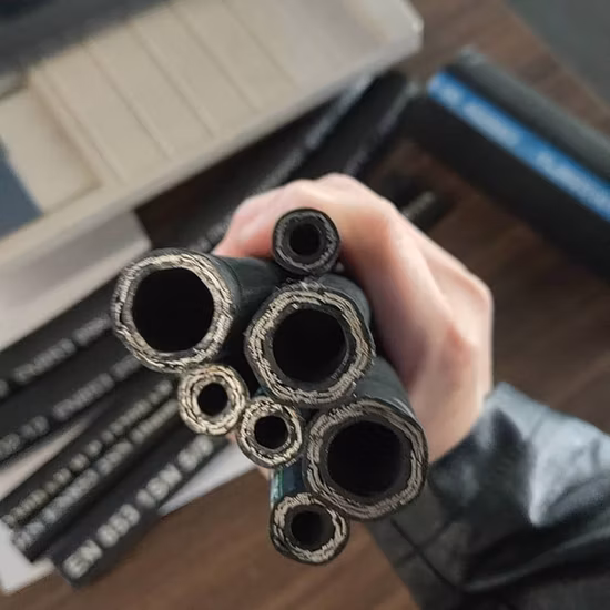 High Quality Hydraulic Hose/ Rubber Braided Pressure Hose Assemblies